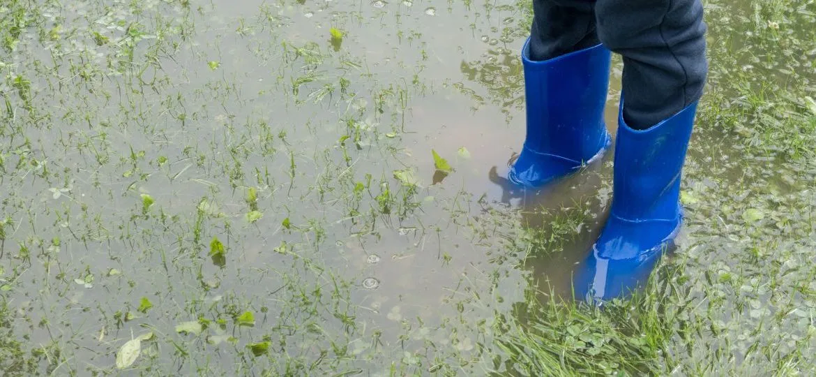 Common signs that your home has drainage problems