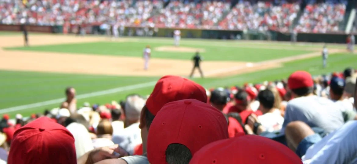 Tips for enjoying your first baseball watching experience